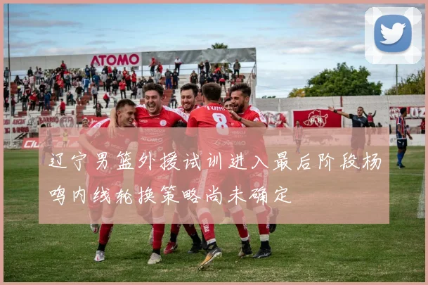 辽宁男篮外援试训进入最后阶段杨鸣内线轮换策略尚未确定