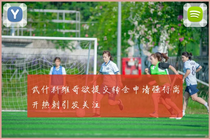 武什科维奇欲提交转会申请强行离开热刺引发关注