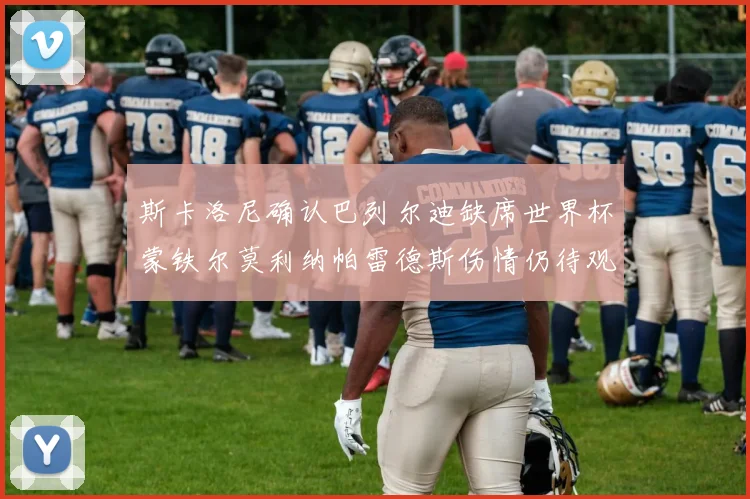 斯卡洛尼确认巴列尔迪缺席世界杯蒙铁尔莫利纳帕雷德斯伤情仍待观察