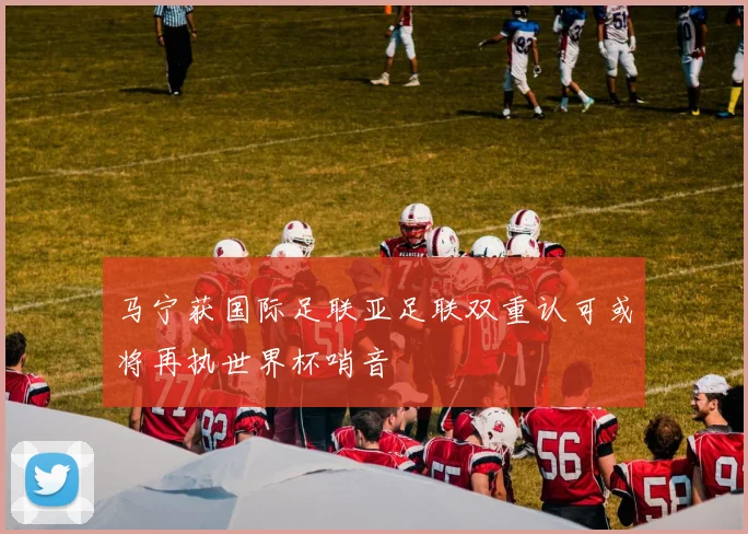 马宁获国际足联亚足联双重认可或将再执世界杯哨音