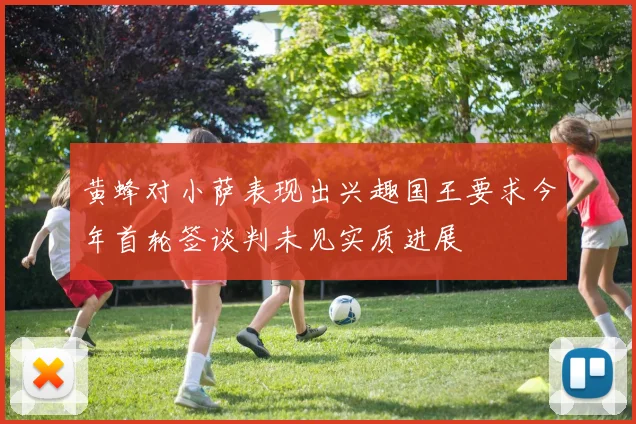 黄蜂对小萨表现出兴趣国王要求今年首轮签谈判未见实质进展