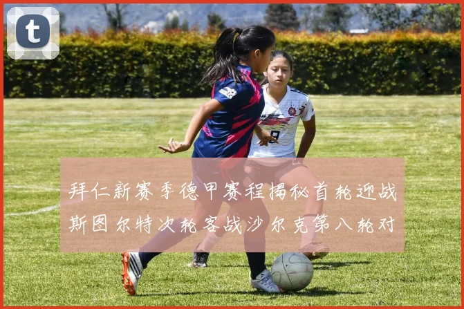 拜仁新赛季德甲赛程揭秘首轮迎战斯图尔特次轮客战沙尔克第八轮对决多特蒙德